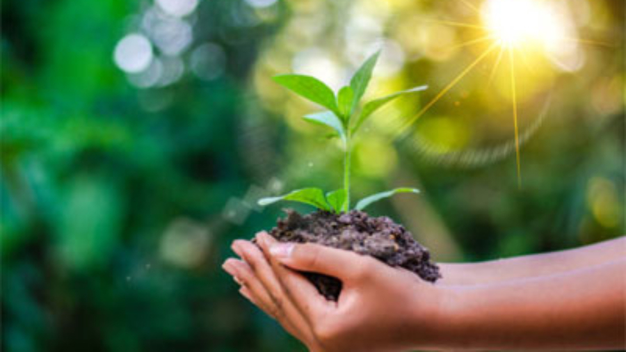 5d6b34f367caeb474d5cb44e28b7f2ac