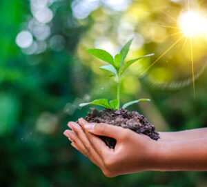 ЖАРАТЫЛЫШТЫ САКТОО